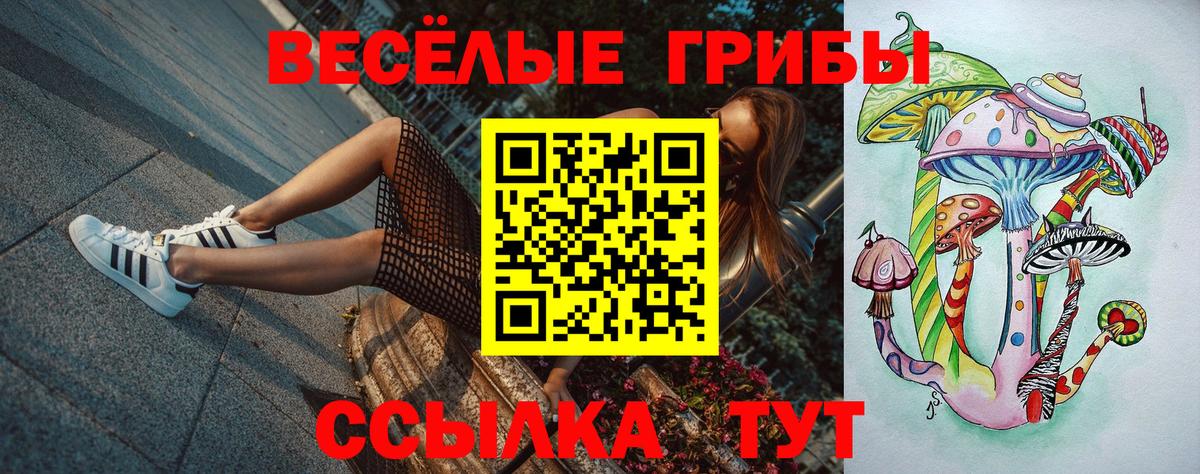 Галлюциногенные грибы Cubensis  Вход с VPN  Звенигород 