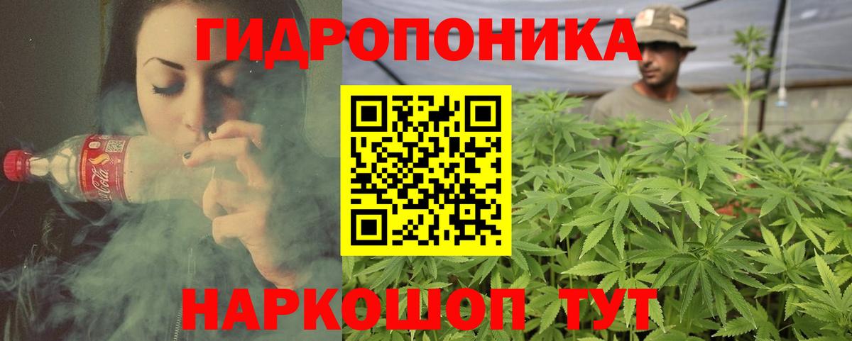 Шишки марихуана конопля  Каннабис гибрид  Бошки марихуана индика  Звенигород  Бошки марихуана LSD WEED  Вход с VPN 